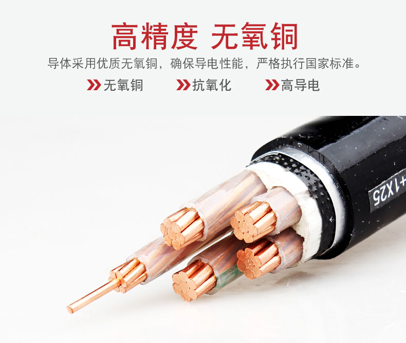 交聯電力電纜-YJV22_05.jpg
