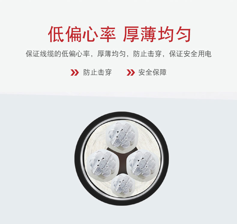 交聯電力電纜-YJLV22_06.jpg