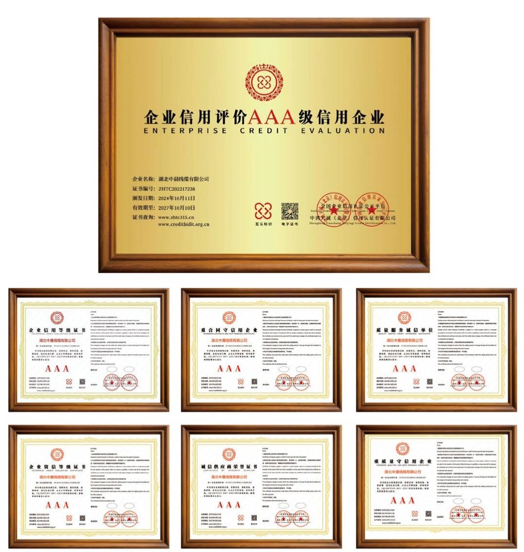 中晨線纜企業信用評價AAA級信用企業.jpg