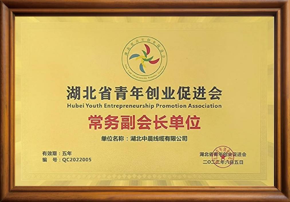 湖北中晨線纜有限公司湖北省青年創業促進會 常務副會長單位.png
